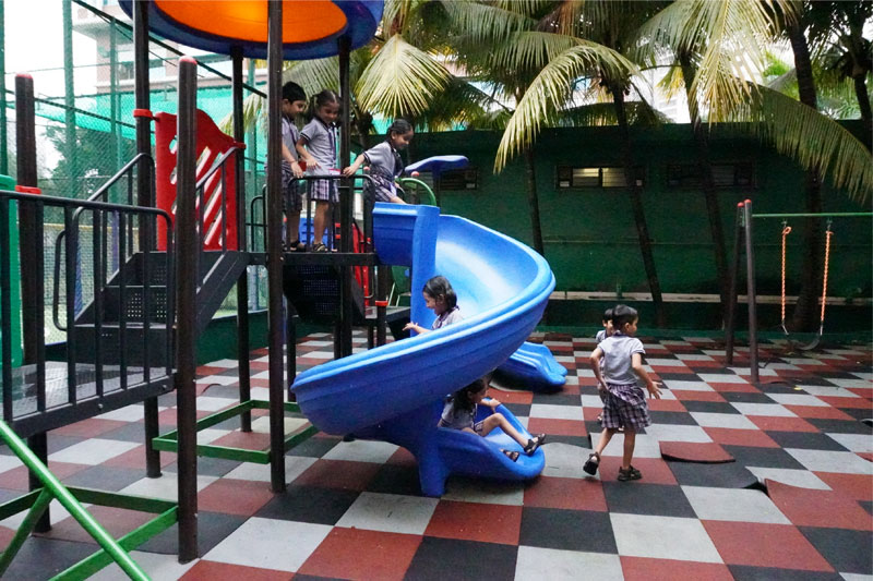 Jungle Gym